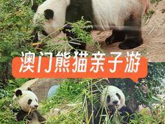 -石排湾郊野公园