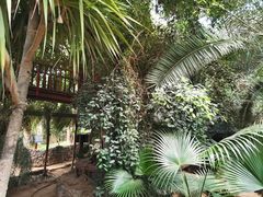 -呀路古热带植物园