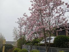 -陕西汤峪会议中心温泉酒店