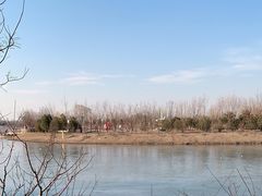 -东郊湿地公园