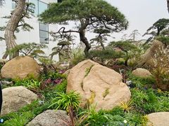 -罗红摄影艺术馆