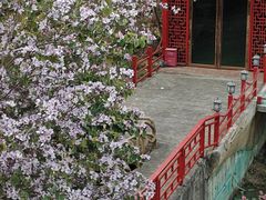 -龙门水都景区
