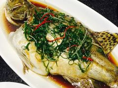 -梧桐餐厅(泉城路店)