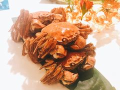 -紫阳家宴(源深店)