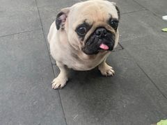 -LUNEURS月乐诗·法式冰淇淋(环贸店)