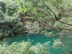-大奇山国家森林公园