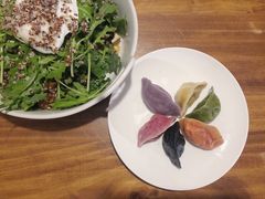 -百好乐宠物友好餐厅(朝外大街店)