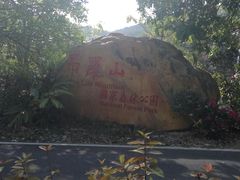 -海南热带雨林国家公园吊罗山景区