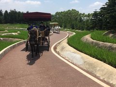 -迪茵湖田家舍生态农场