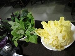山茅野菜-老诚一锅羊蝎子(黄寺大街店)