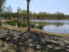 -东郊湿地公园