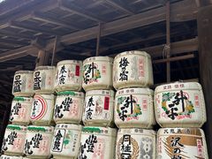 -奈良公园