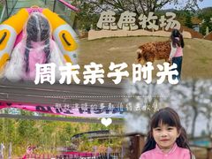 -盈香心动乐园