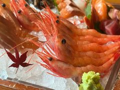 -月龍吟(朝龙汇店)