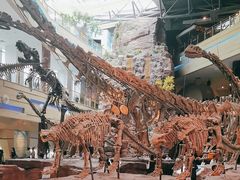 -安徽省地质博物馆