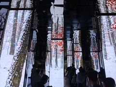 -中国湿地博物馆