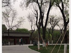 -莲湖公园