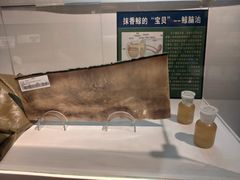 -生命奥秘博物馆