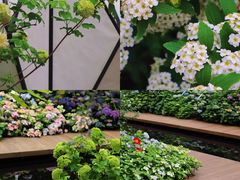 -深圳市中科院仙湖植物园