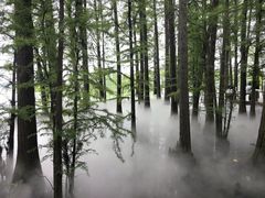 -东湖落雁景区