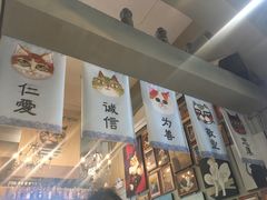 -猫咪博物馆(顶澳仔猫街店)