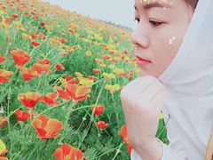 -扁都口生态休闲旅游区