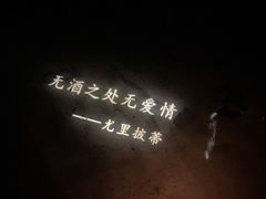 -胡桃里音乐酒馆(环亚凯瑟琳广场店)