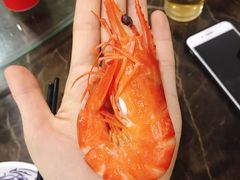 -蚝专家(北滘店)