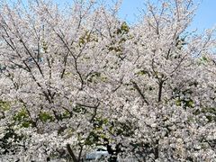 -IKEA宜家家居(南京商场)