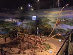 -自贡恐龙博物馆