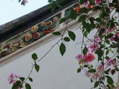 -深圳国际园林花卉博览园