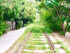 -府君山公园