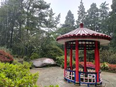 -庐山风景区花径公园