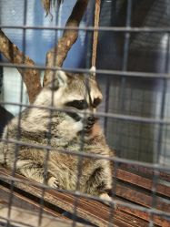 -酷嗒动物文化乐园(cutezoo西溪乐天城店)