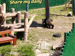 -沈阳森林动物园