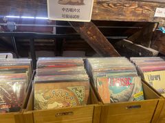 -树懒黑胶唱片店(中山路店)