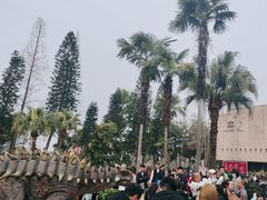 -自贡恐龙博物馆