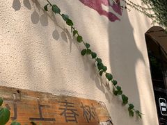 -村上春树
