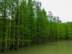 -青龙山国家森林公园