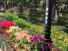 -海珠湖公园