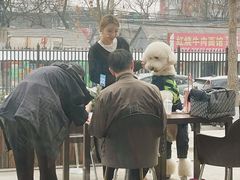 -Jamaicablue Coffeeshop(中央广场店)