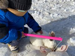 -绿野森林乐园冰雪季