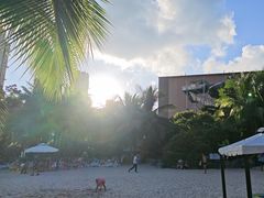 -亚马逊丛林水乐园