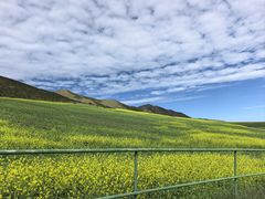 -扁都口生态休闲旅游区