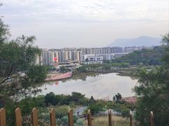 -飞凤山奥体公园