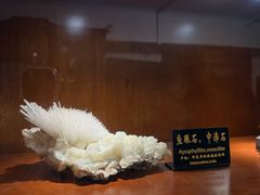-青岛德国总督楼旧址博物馆