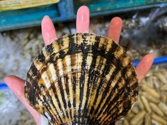 -海味当家·蒸锅海鲜(星海公园店)