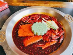 -大龙燚火锅(春熙店)