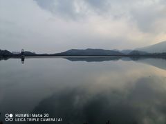 -清溪森林公园