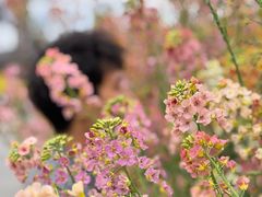 -中国天府农业博览园